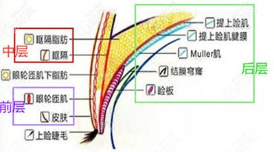 对比重庆李富强和林勇医生哪个修复不对称双眼皮效果更好67