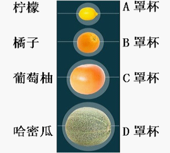 1997年至现在,美国女性的乳房尺寸平均增长了1个罩杯,从34b变成了36b