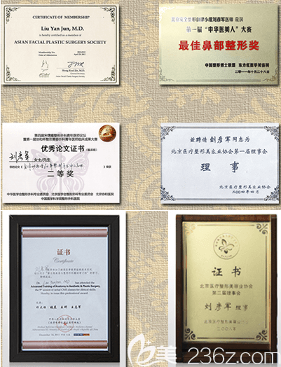 北京沃尔整形部分荣誉证书