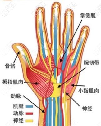 手背太瘦像鸡爪想做填充但为什么不建议做自体脂肪填充丰手