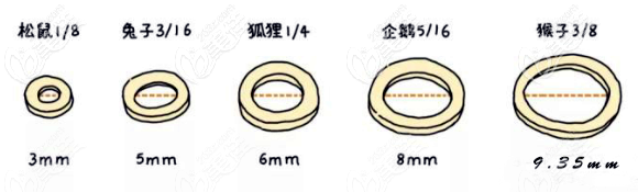 正畸橡皮圈的型号