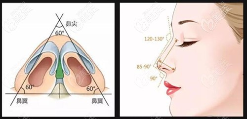 哈尔滨雅美肋软骨隆鼻技术亮点