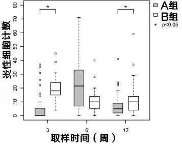 图6.A组和B组术后三个阶段的CD68阳性细胞密度。